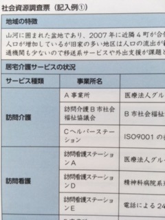 同行実習記録票